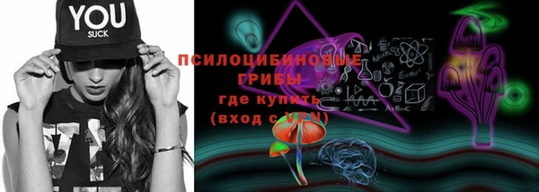 ГАЛЛЮЦИНОГЕННЫЕ ГРИБЫ Армянск