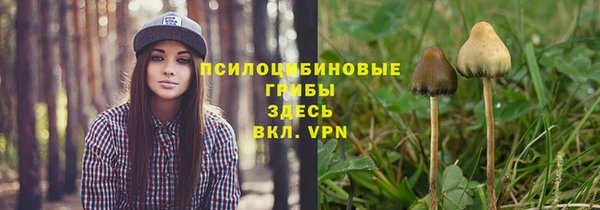 прущие крисы Аркадак