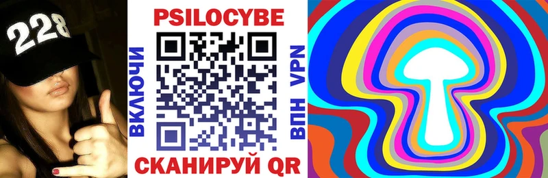 где купить   kraken tor  Галлюциногенные грибы Cubensis  Партизанск 